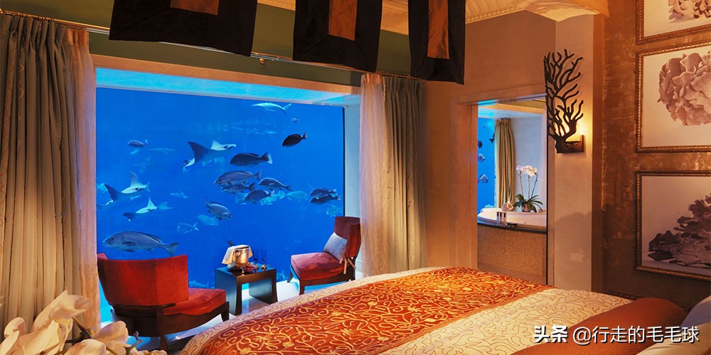 迪拜神秘海底世界,迪拜神奇的海底世界