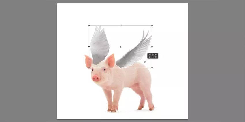 ps小猪怎么做,ps怎么合成驴子