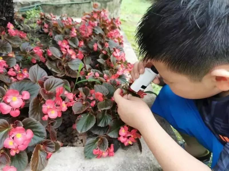 不务正业的显微镜,显微镜不务正业