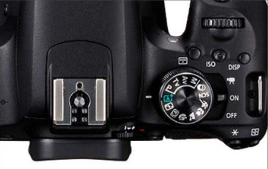 鎽勫奖鍏ラ棬浣宠兘鐩告満800d,鎽勫奖鍗曞弽鐩告満鎺ㄨ崘