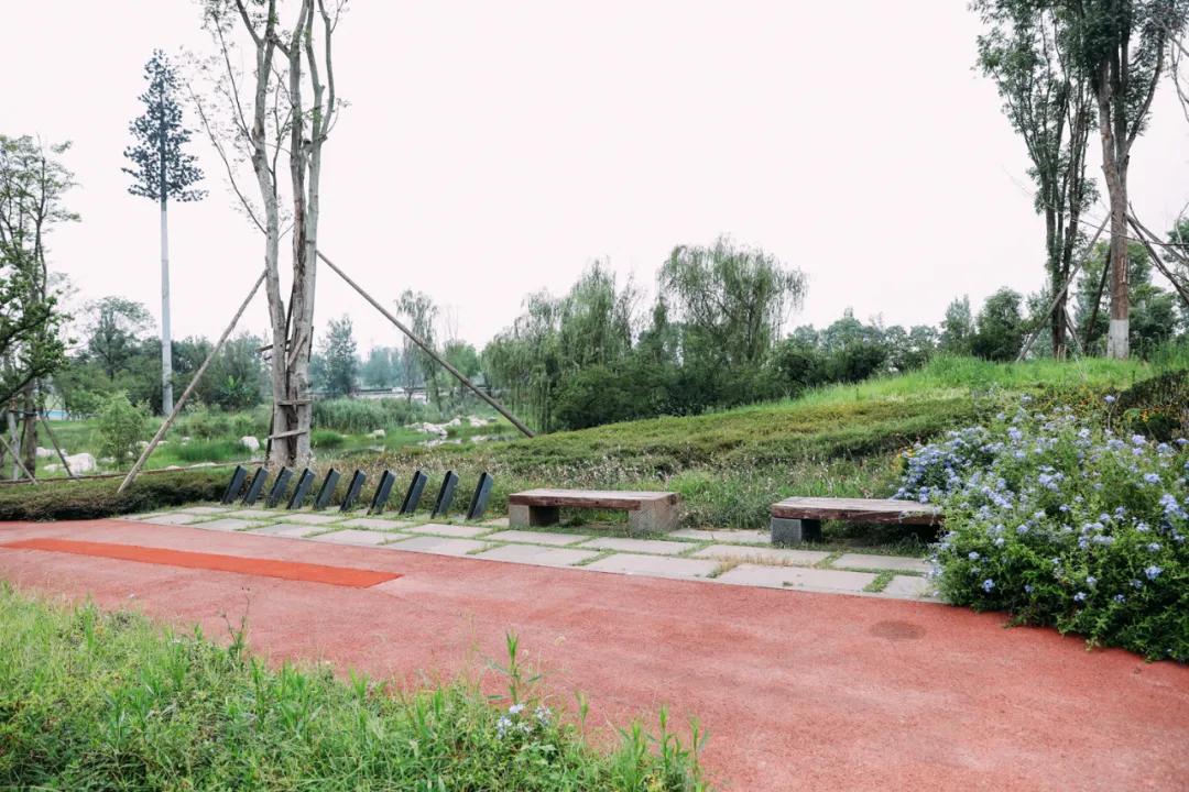 周末去哪里玩成都室内,周末去哪儿玩儿成都周围