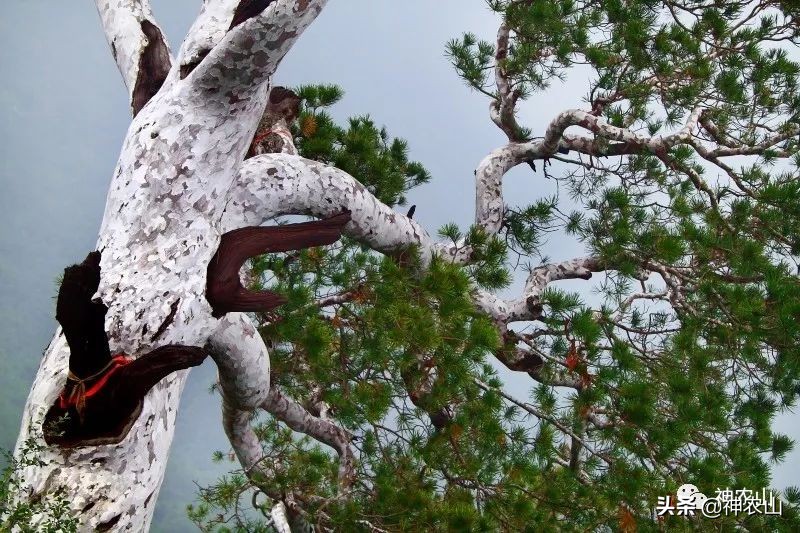 这就是生活第40集刘恺威,这就是街舞3