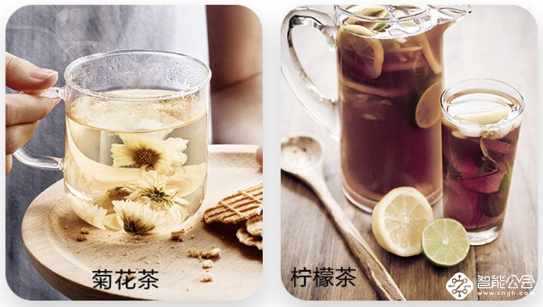 九阳旋转养生壶,养生壶九阳与小熊品牌相比哪个好