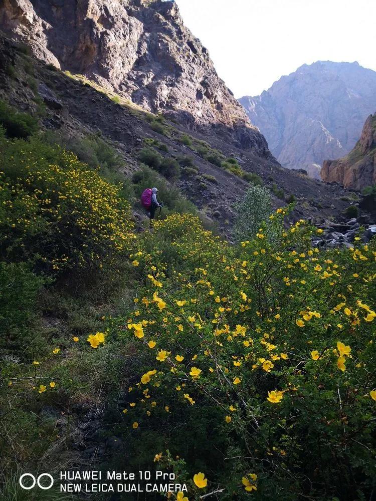 传说中的天狼之路，是否值得一走？
