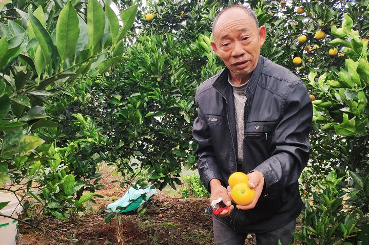 留守老人心酸,心酸留守老人