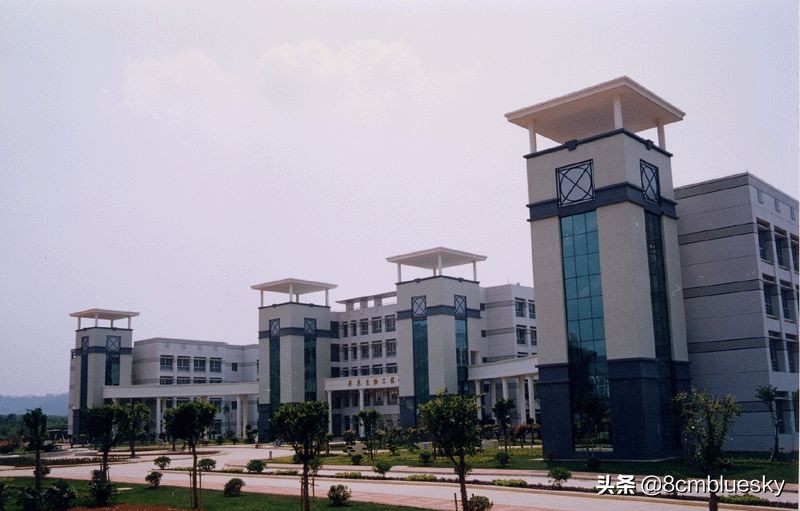 学医不代表什么都懂,学医不从医好吗