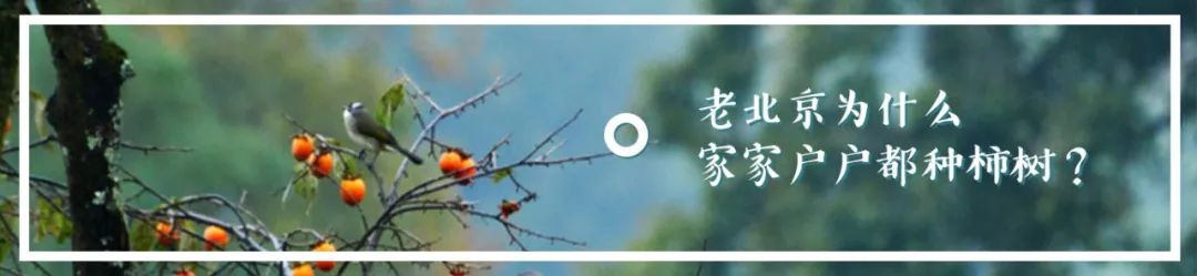 北京胡同小饭馆,北京藏在胡同里的小院饭馆