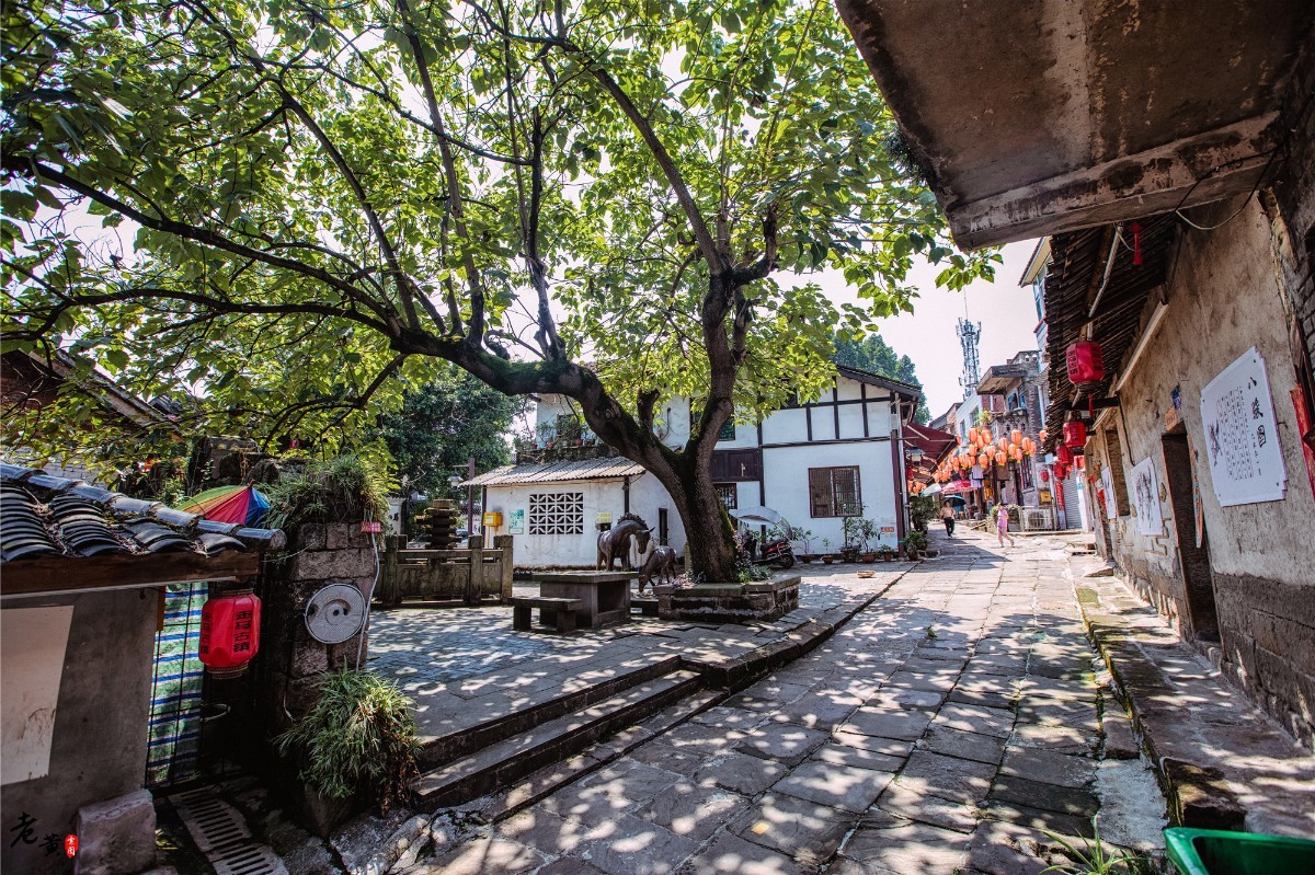 重庆主城唯一坐落于长江边的古镇,重庆有个破败不堪的古镇