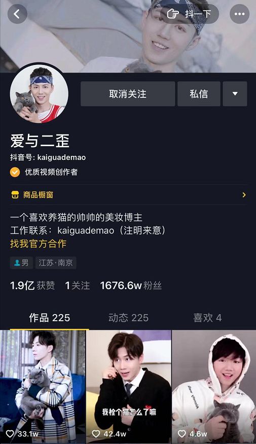 霸道总裁遇到小猫,霸道猫总裁遇到猫薄荷