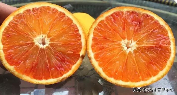 中国水果大全,中国水果大全图片和名字