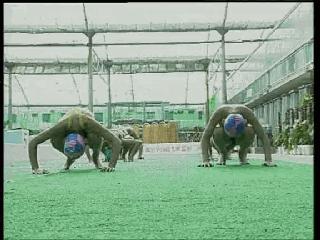 爬泳转身技术,爬泳中后交叉教学