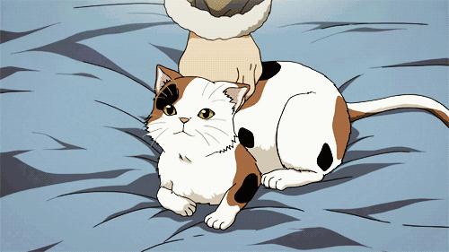 捏住老虎后颈就不敢动了,捏住老虎后颈肉会怎样