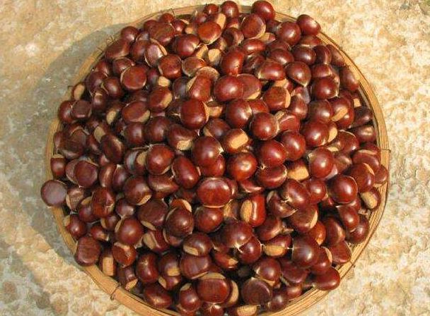 冻板栗怎么保存,煮熟的板栗怎么保存一晚