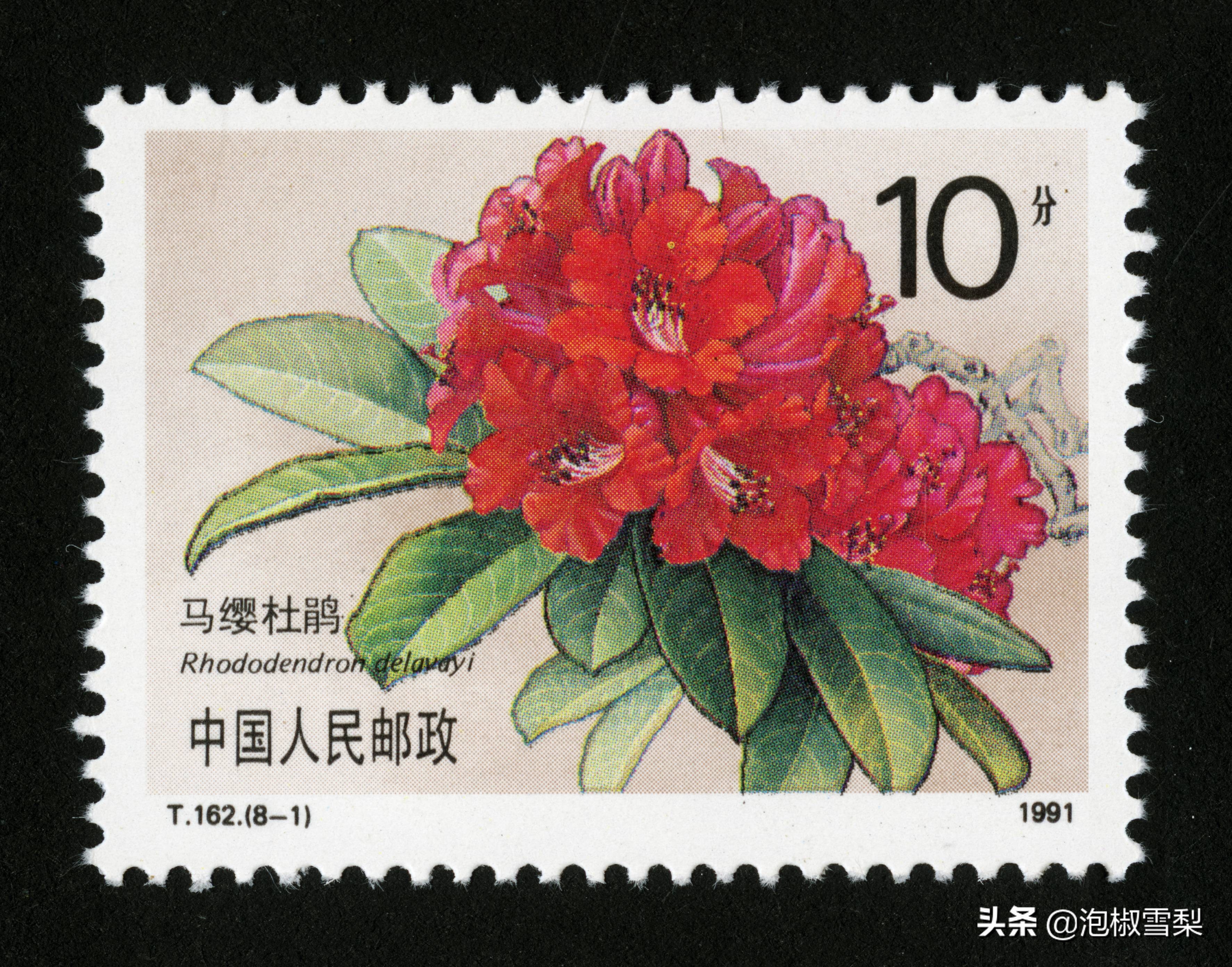 中国1991年发行的全部邮票图片｜陈胜吴广.计划生育.社会主义建设