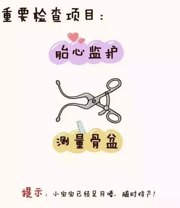 孕妇产检全流程手绘图,产科医生画图