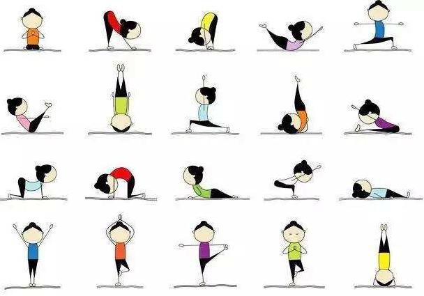 精准瑜伽60分钟排课体式串联,双人瑜伽体式串联排课加口令