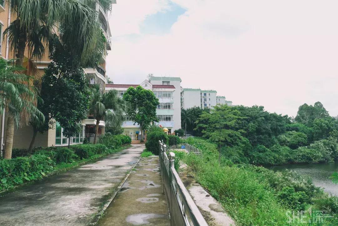 深圳市美美美,深圳最美免费水库