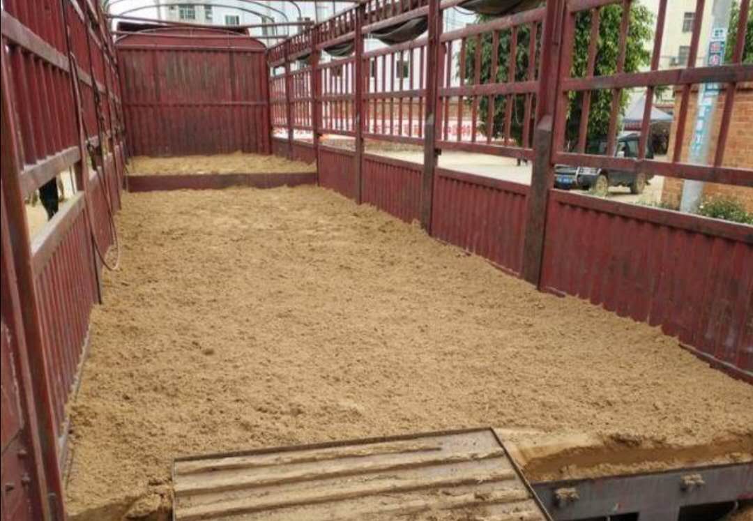 老司机拉了一车牛魔王,老司机拉牛魔王