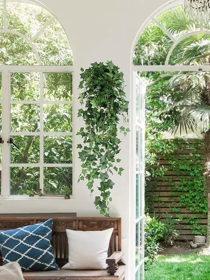 可爱又迷人的绿色植物,仿真绿色植物图片大全