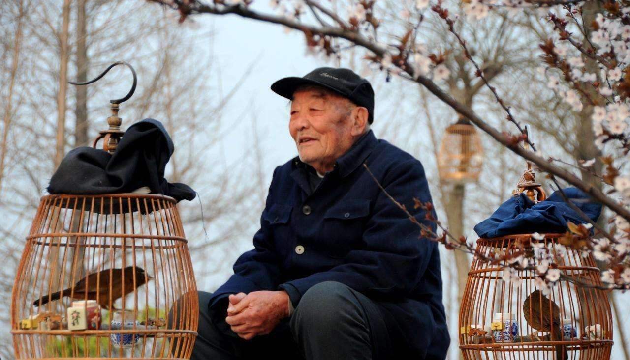 干净的冬天必定是个脏年,干净的冬天必定是脏年是什么意思