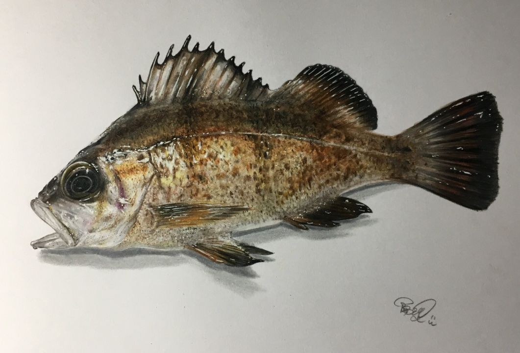 失明女孩铅笔画,手绘眼睛流泪铅笔画