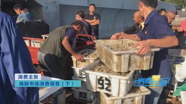 三亚海鲜市场皮皮虾多少钱一斤,海鲜市场上的皮皮虾