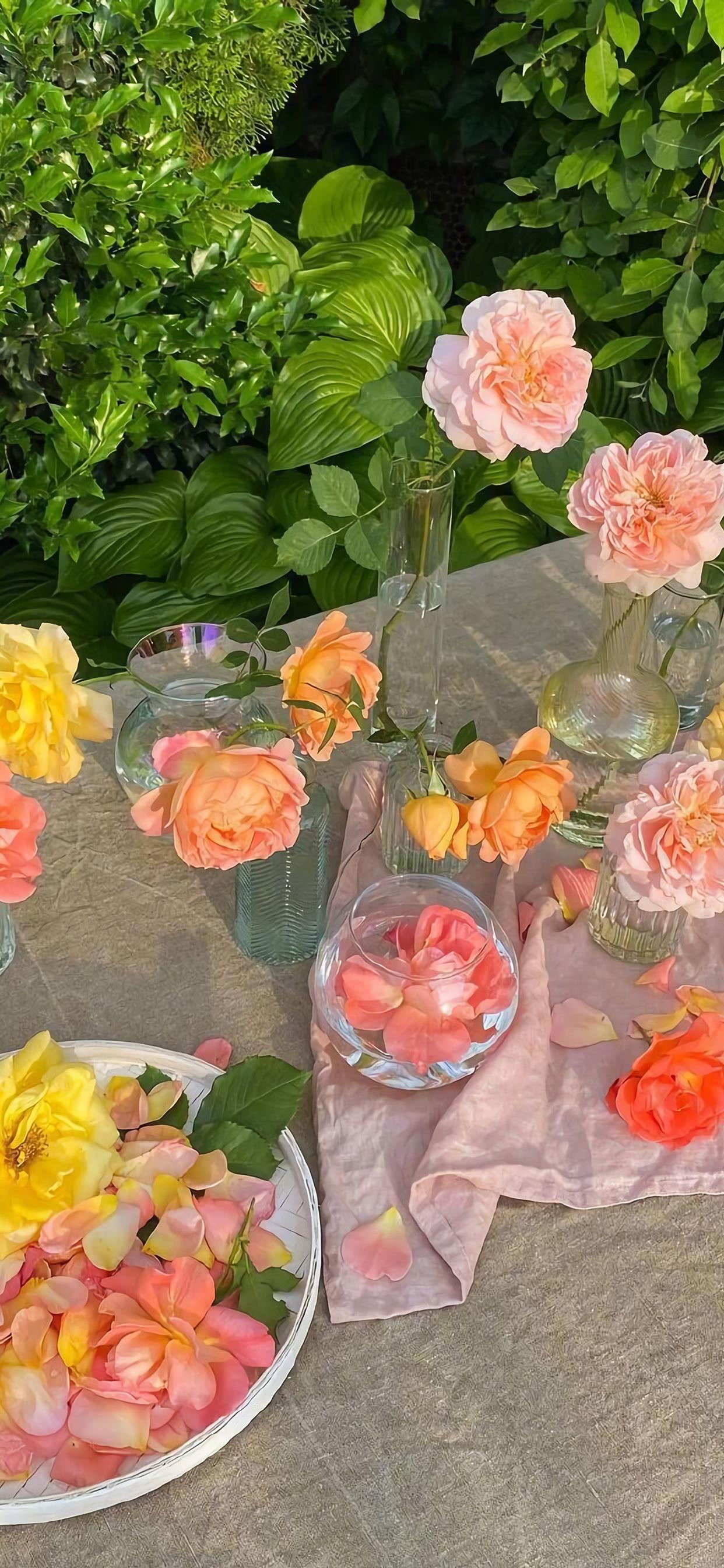 精选壁纸图集第378期,壁纸合集绝对有你喜欢的