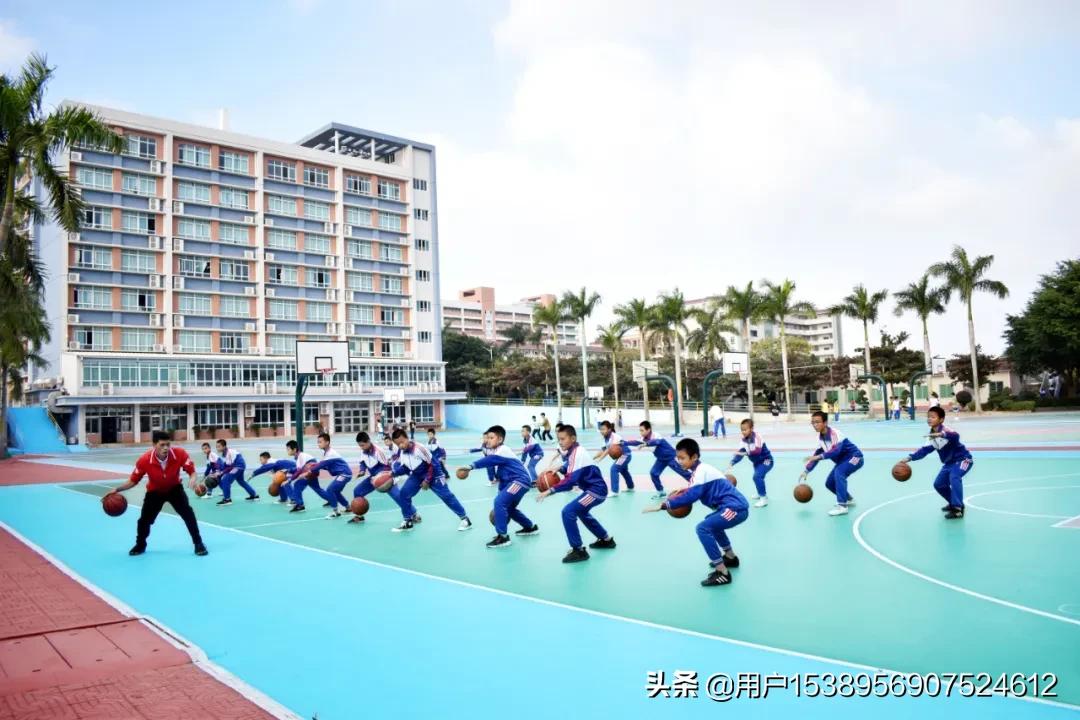 湛江少林武术学校2022招生简章,湛江市少林学校招生简章