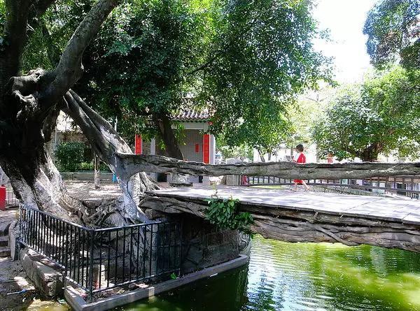 深圳周边城市自驾游五天,深圳周边三天两夜自驾旅游推荐