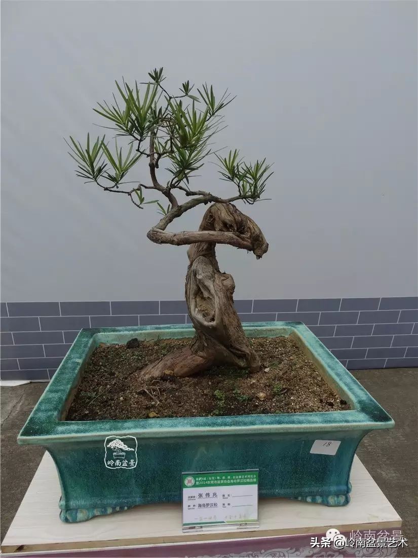 开运招财，非其莫属！清风雅韵，当之无愧！