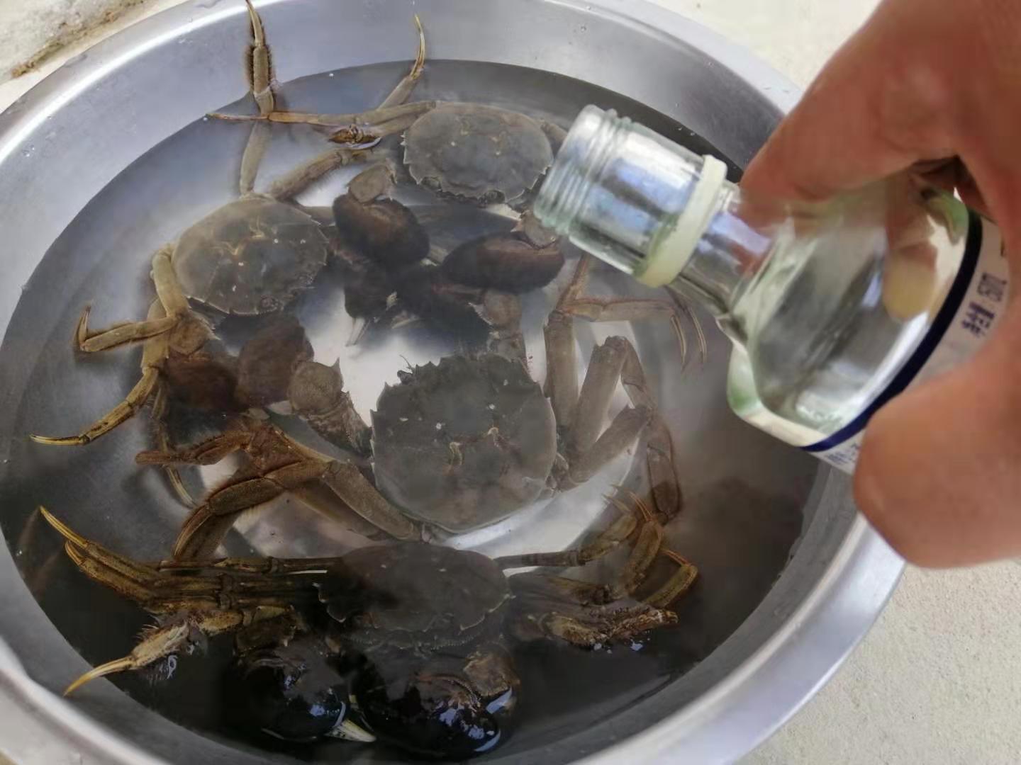 螃蟹的家常做法清蒸毛蟹,螃蟹除了清蒸辣炒外还能怎么做