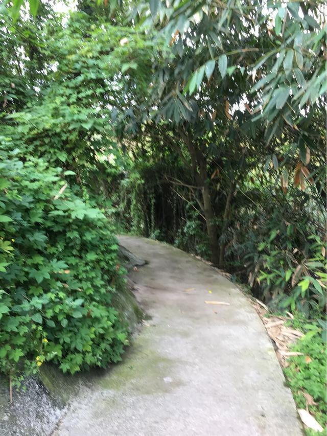 重庆铜罐驿古镇柑橘视频,重庆铜罐驿古镇排名