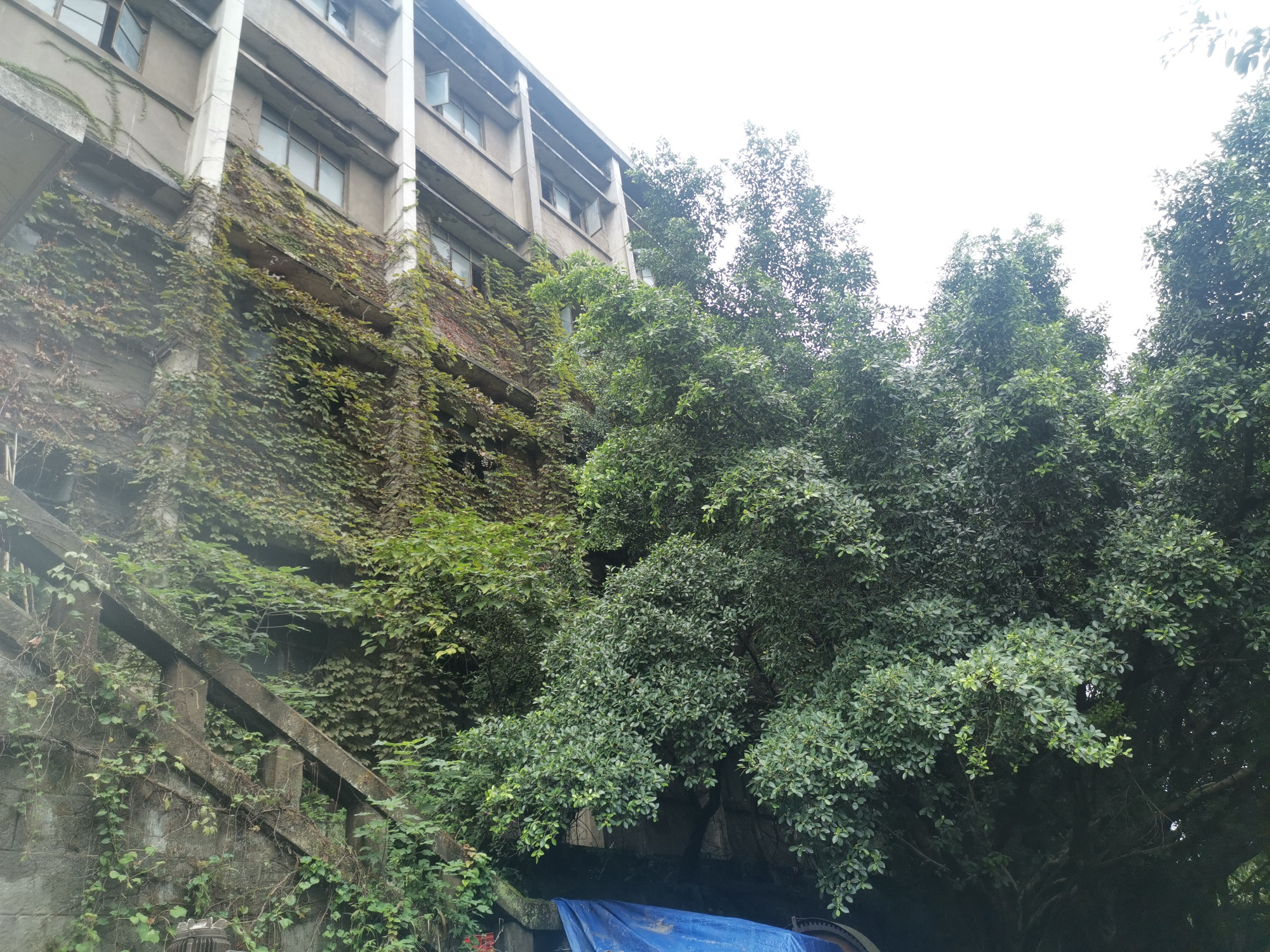 北碚区原三线建设老厂区,重庆北碚废弃工厂