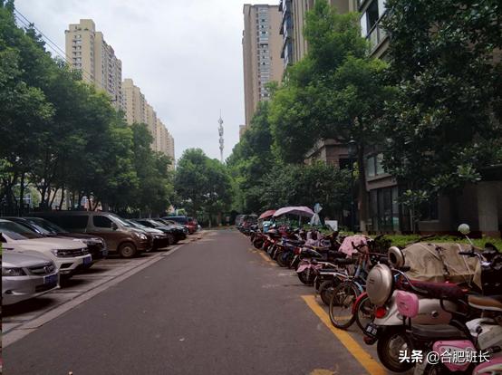 合肥滨湖学区房最新价格,合肥滨湖cbd学区房