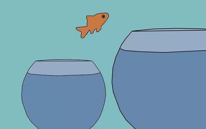 学美留学怎样,学美教育留学