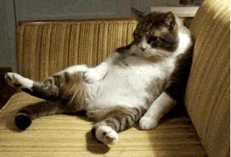 总是脖子肩膀背部疼怎么回事,老是肩膀脖子疼是什么原因