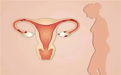 瀛愬鍒囬櫎浠ュ悗浼氳“鑰佸悧,瀛愬鍒囬櫎浠ュ悗浼氳“鑰佺殑蹇悧