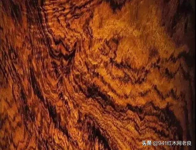 贫穷限制了想象招商蛇口,贫穷限制了老百姓的想象