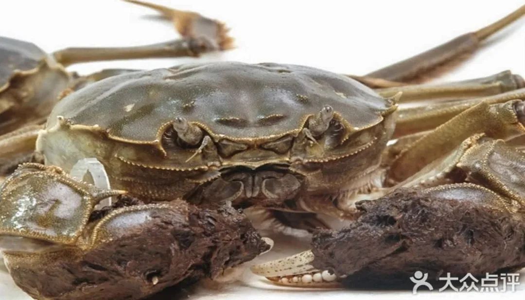请问选大螃蟹怎样的才好吃,挑螃蟹最好吃的方法