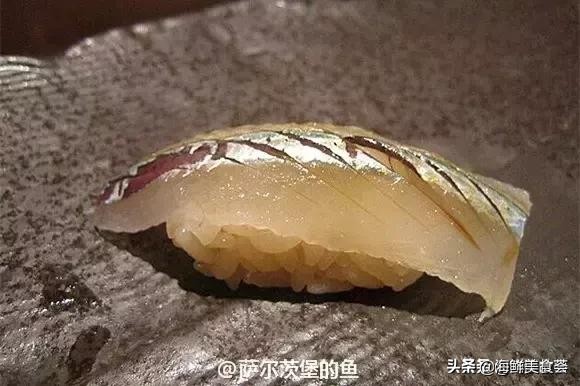 32种经典寿司做法视频,寿司常用的鱼