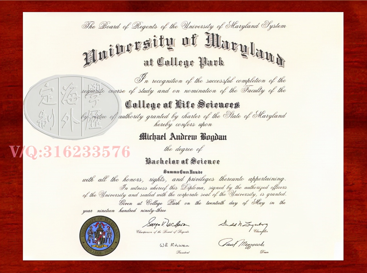 卧龙岗大学,卧龙岗大学图片