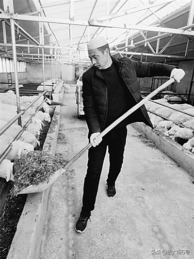 农村的硬汉子,硬汉子农民