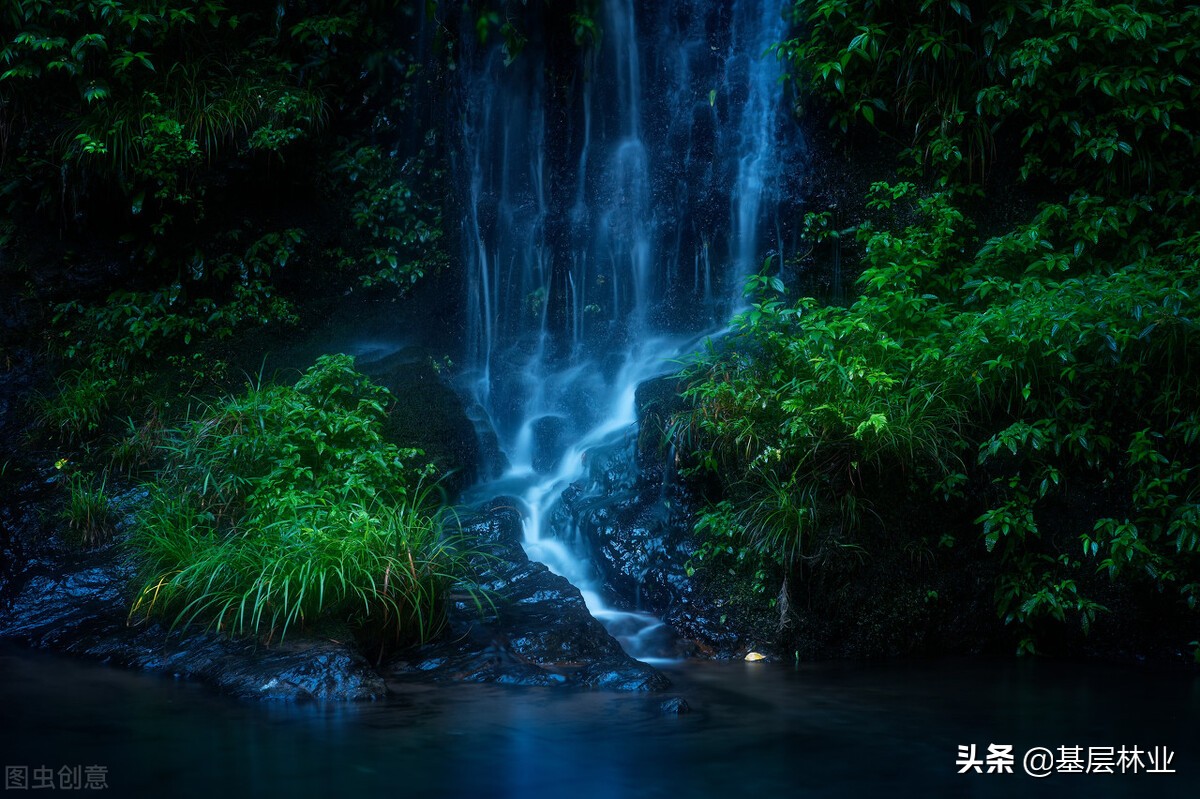 山蚂蝗咬过之后伤口很痒怎么医治,山蚂蝗咬了用什么药好