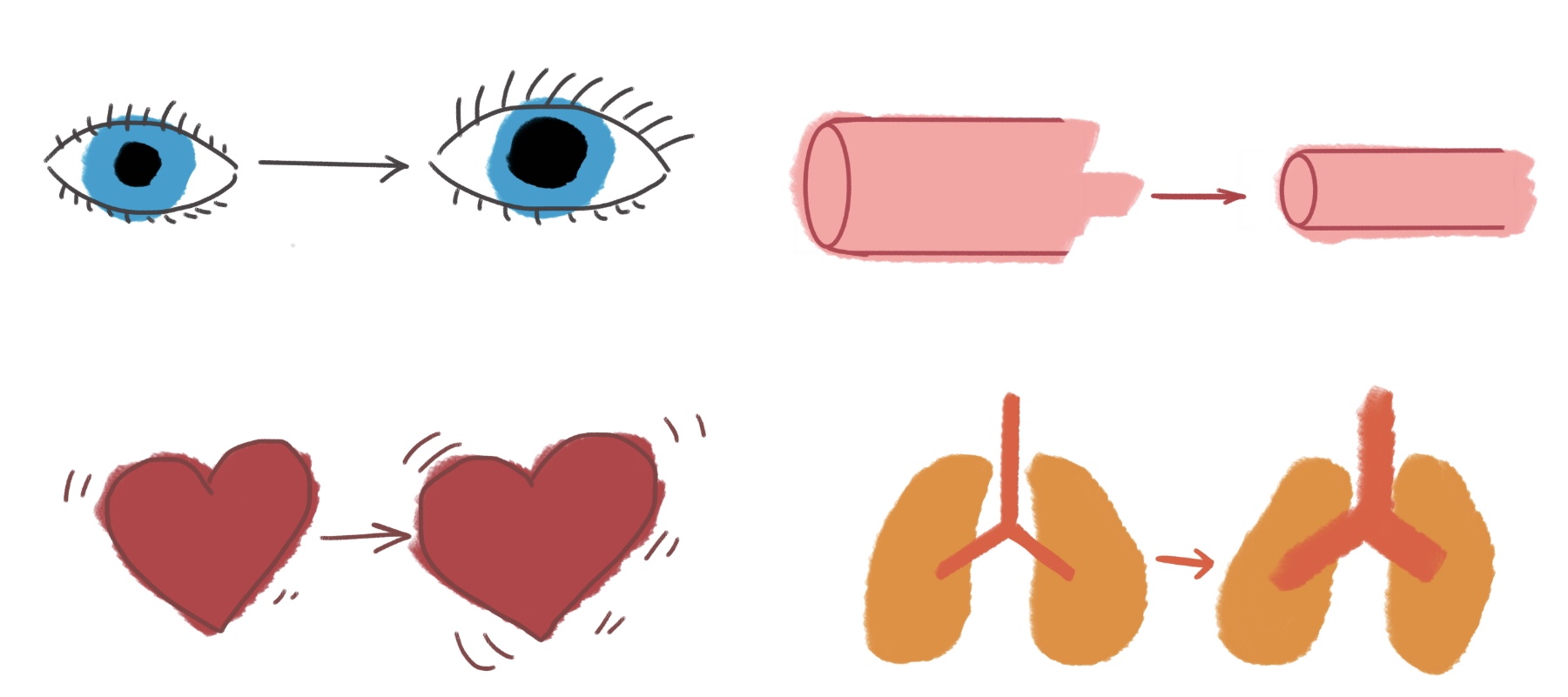 神经毒素到底有多可怕,vx2神经毒素的杀伤力