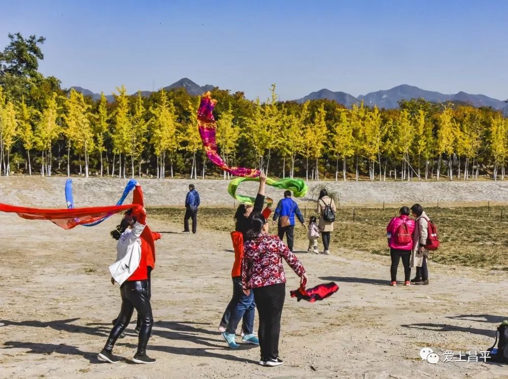 昌平区适合一日游玩踏青的地方,4月中旬昌平区最值得去的景点