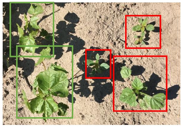 ai高科技农业技术,ai农业机器