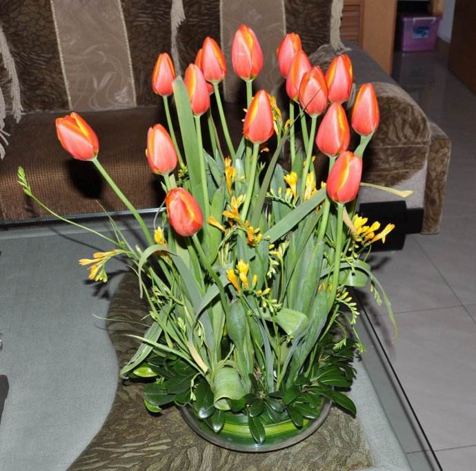 郁金香种球分裂后的小球能开花吗,郁金香开完就扔掉了吗