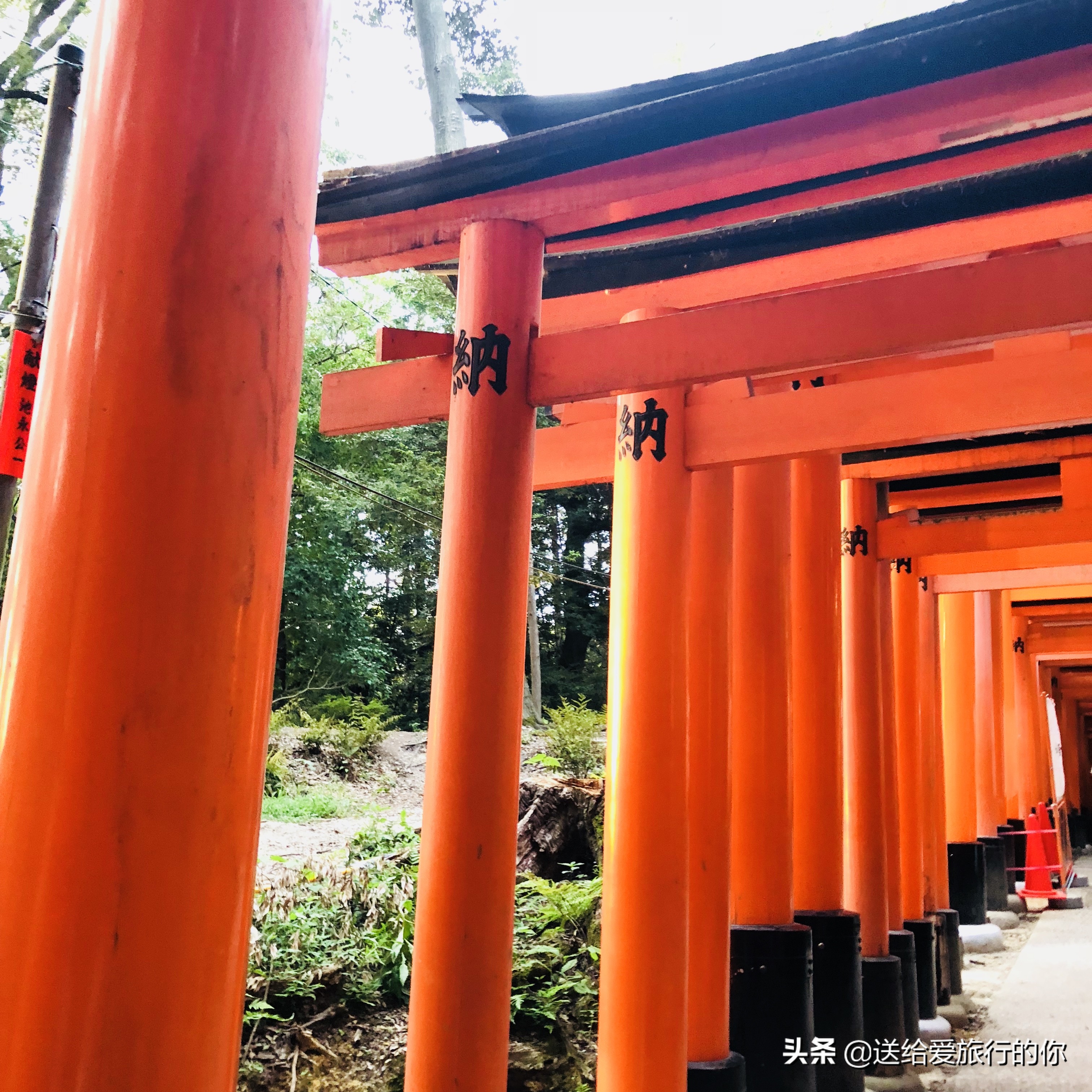 在日本生活一天,日本六天五晚东京
