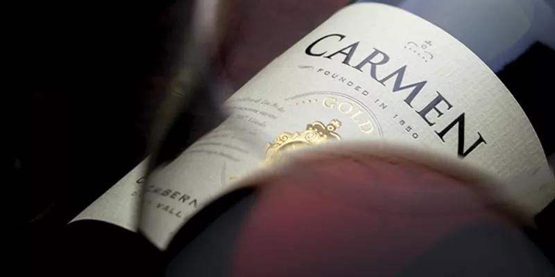 18罗汉酒,智利18罗汉适合收藏的酒