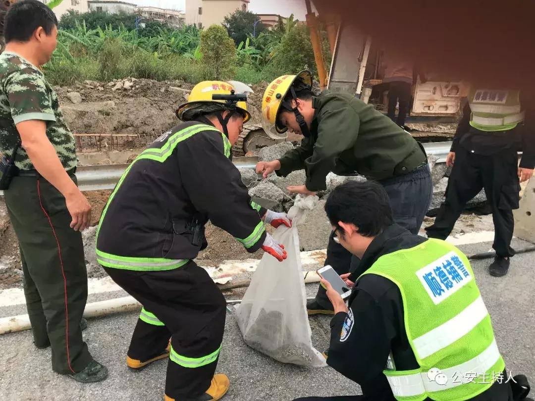 工地挖机挖出一条巨蟒,挖掘机挖大蟒蛇的视频